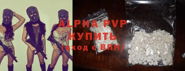 гашик Карпинск