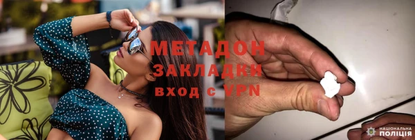 гашик Карпинск
