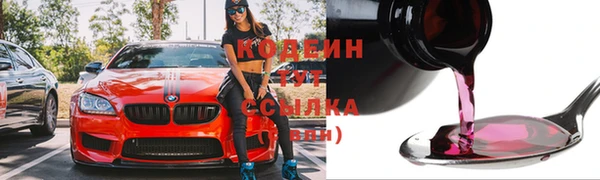 гашик Карпинск