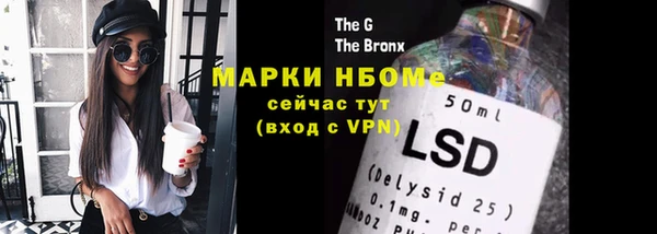гашик Карпинск