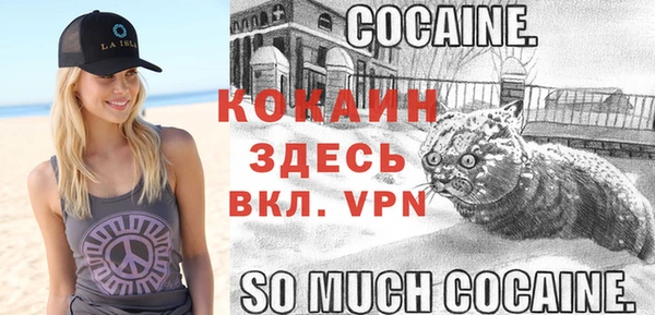 гашик Карпинск