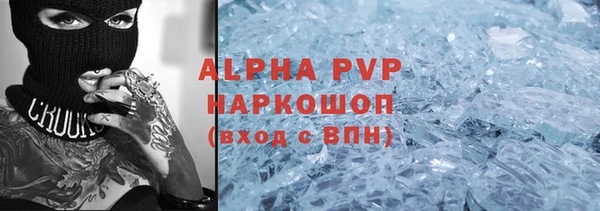 гашик Карпинск